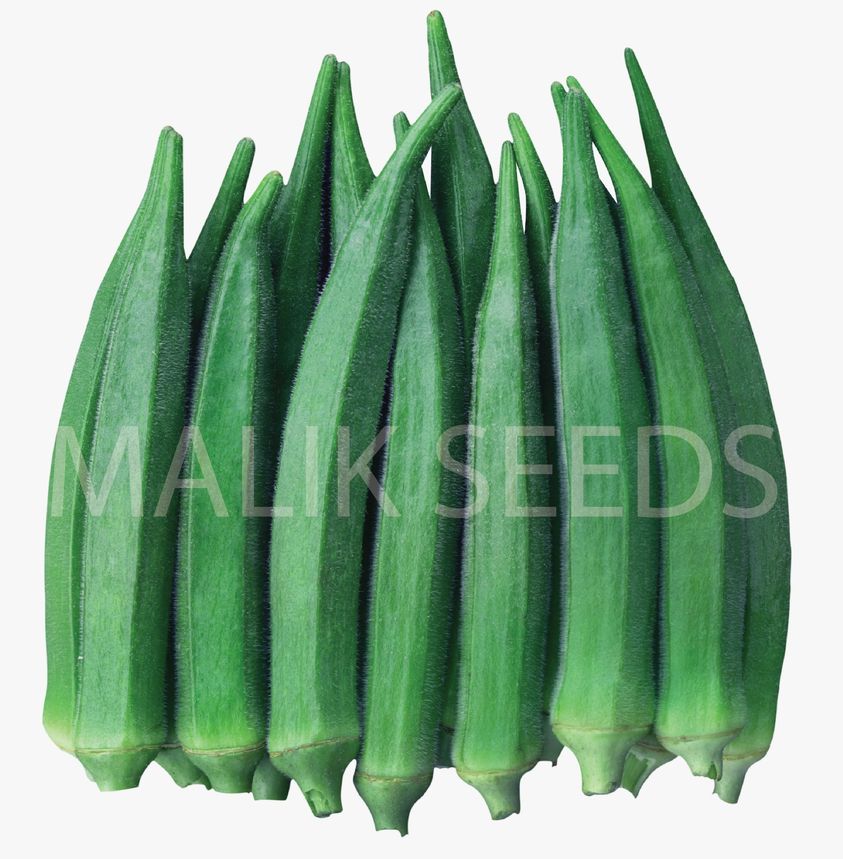 হাইব্রিড ঢেঁড়স- নান ২০০৬ (Malik seeds) (NUN 2006)