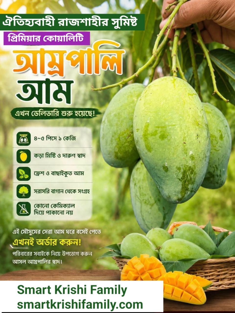 রাজশাহীর সুমিষ্ট আমরুপালী আম